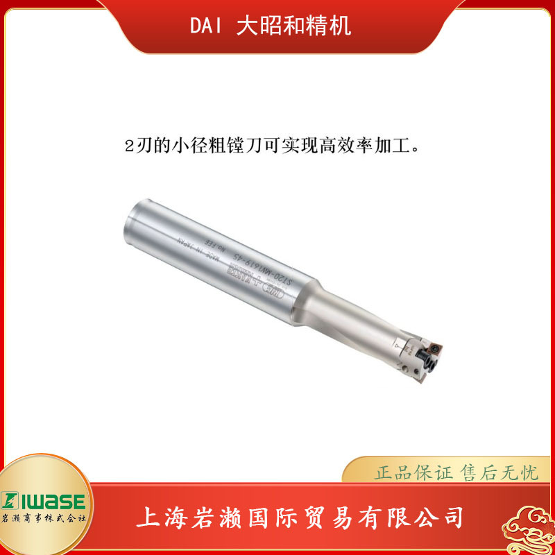BIG DAISHOWA大昭和精机，小径两刃粗镗ST20-MW1619-45