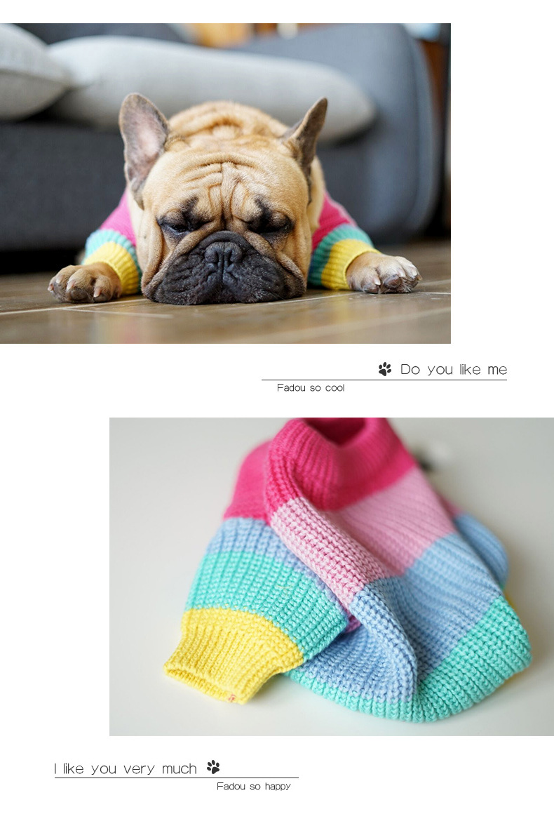 Rainbow Dog Sweater - Image 4
