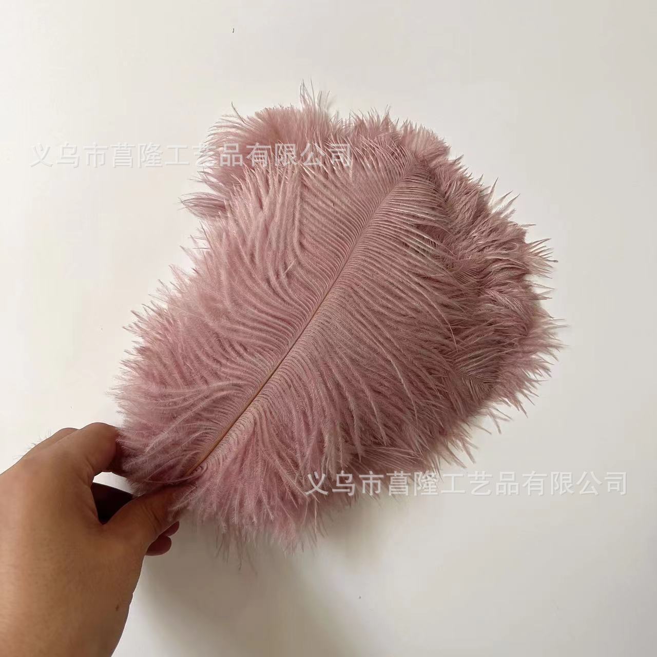 1adb08673d9fddbed1a1df9c5edb38