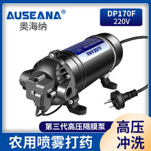 DP-170F超高壓力自吸泵220v加壓噴霧機器純凈水設備增壓清洗水泵
