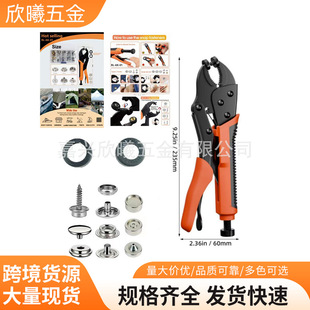 229pcs���P��ݽz��׿۰��� �������ք�С�͉��ۙC���f�������b