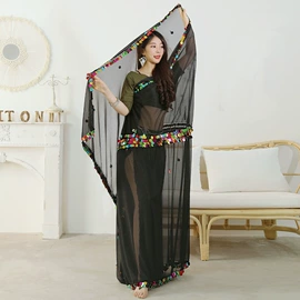 舞台/表演服;肚皮舞表演服;腰链