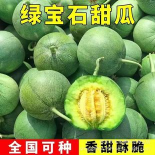 �G��ʯ��ϷN�ӱ�Ƥ������ϷN�Ӵ����ļ��������ˮ���N�ӿ���