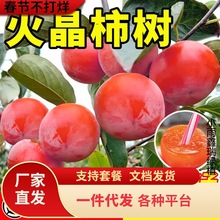 �����Ә���o�˴������Ә����޽�ͥԺ�����ش�̖���԰����ͺ�