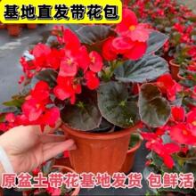 �ļ����Ļ��҃��̨�͏d�ļ��_�����Ի��ܲ������r�������l؛���]