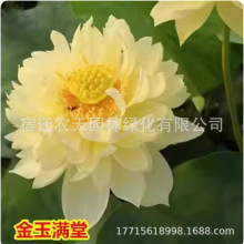 ɻNˮB^pɻNźɏNˮֲ҃ȺB