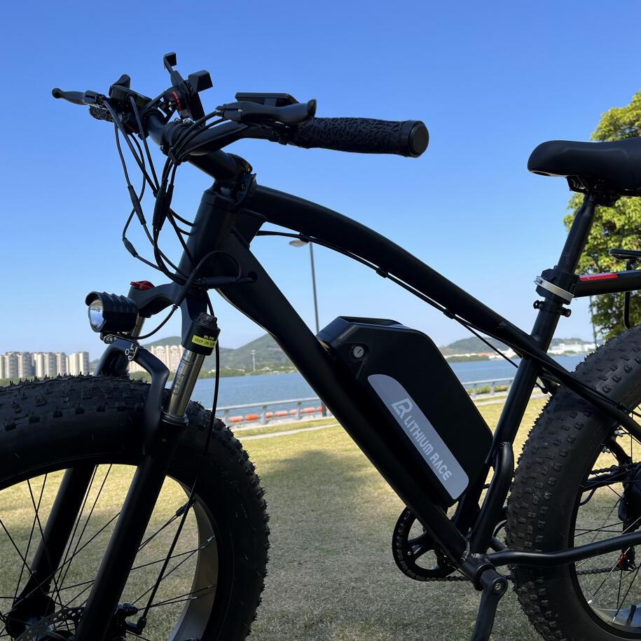 工厂直销海龙款1号52颗78颗电芯电池盒带USB锂电自行车