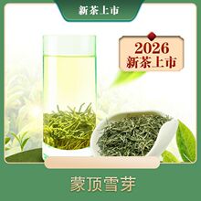 2026新茶蒙顶早春雪芽毛尖特级绿茶125g  仙毫秀芽信阳毛尖类绿茶