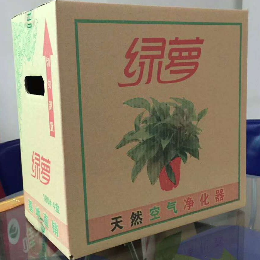 箱胖子绿萝纸箱1-4盆总汇