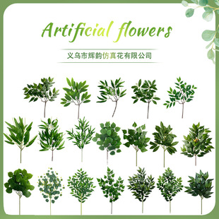 �羳��Ʒ����ֲ�� �Ҿ��b廨�Gɫֲ���֦����~���~����ֲ��