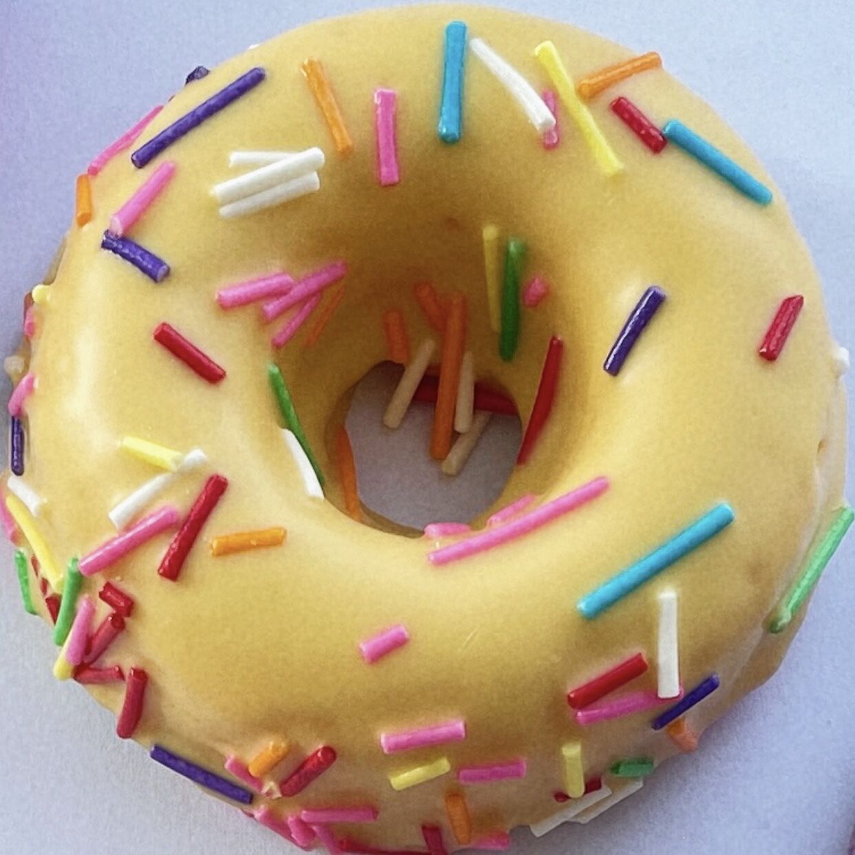 망고맛 도넛 8팩