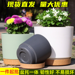 アンソニー種月季鉢植えプラスチック植木鉢帯托多肉控根植木鉢円形樹脂ベランダ栽培植木鉢