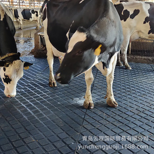 Black rubber non-slip mat milk farm special milking hall cow channel non-slip strong and durable