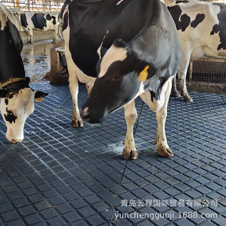 黑色橡胶防滑垫 奶牛场专用 挤奶厅 过牛通道 防滑结实耐用