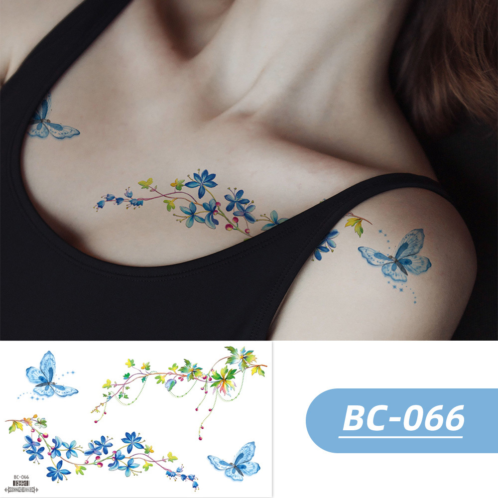 BC-066 / 240*138MM