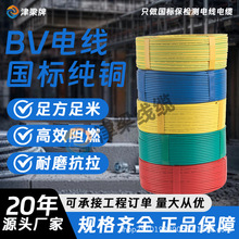 ��ȼBV��о�Դ��2.5/4/6/10ƽ�����̽^��늾����b���~������|��