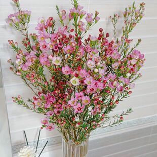 �����D÷����ϻ��ڻ���ֱ�l�͏d�����҃��D÷ˮ���r�л���������