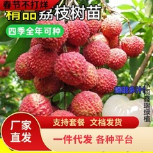 һl֦mo˹ζЦˮM޽ӹ