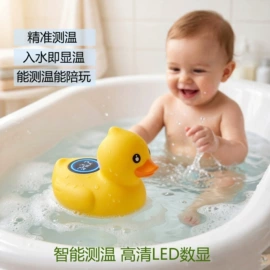 鞋辅件;鞋扣;包挂件