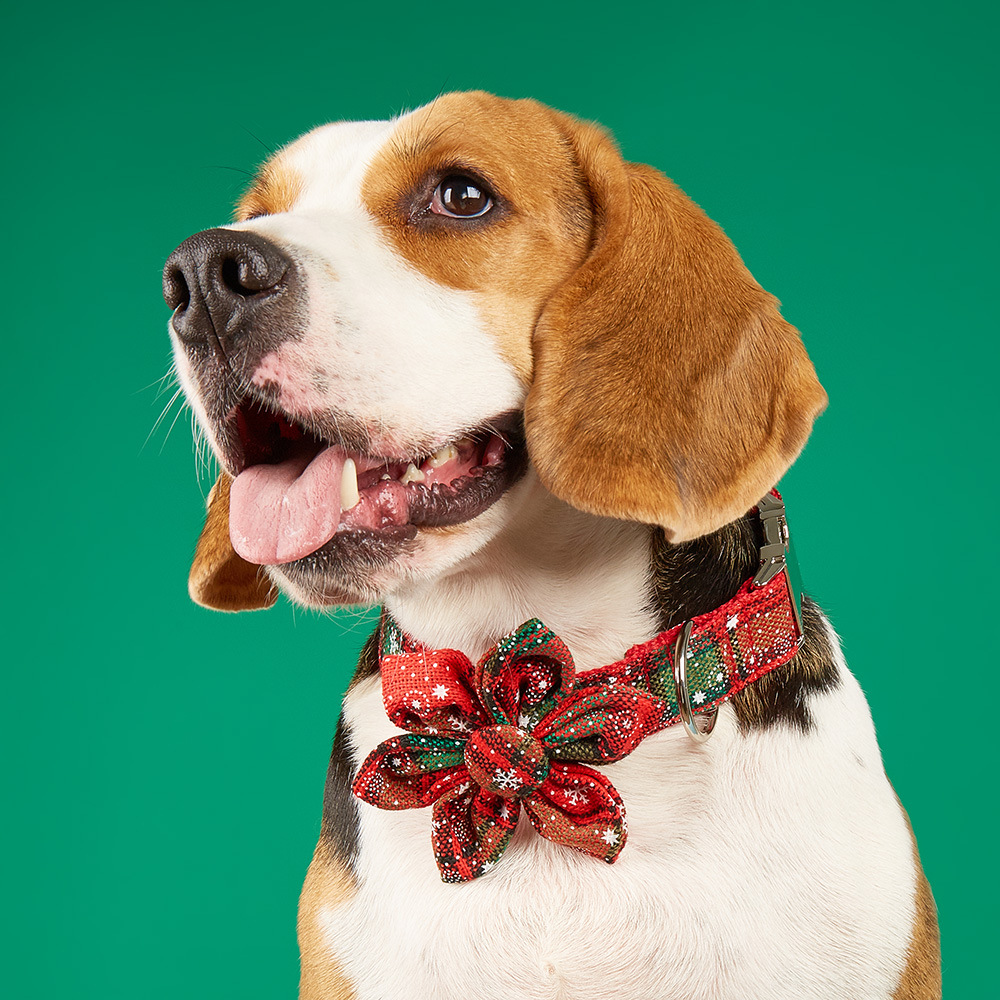 Tanpopo flores de sol de Navidad cuadrado rojo y negro para mascotas collar arco collar perro corbata