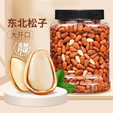 新货松子干果45g坚果开口松子批发囤货休闲零食工厂批发直销