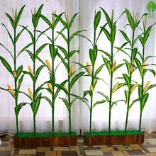 ֲ҃bƷraƷ߾Ƶ͏dטԾGֲr