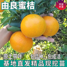 һ�����l �����۽ۘ����ϱ����������Լ޽ӱ�Ƥ�o�����ٽ��ӹ���