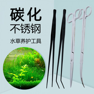ˮ���޼�������Ӽ��Ӻ�ɫ�쾰��ӏ�ιʳ�A�Ӟ����������x�A