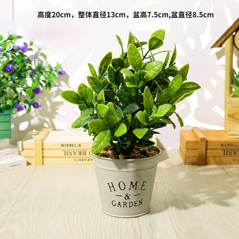 JH099 Planta verde en cuenca de hierro ☆