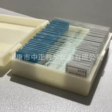 厂家供实验室显微镜切片标本初高中教学动植物载玻片生物切片标本