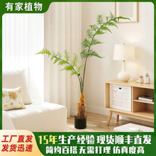 ������;Gֲ���^ާ��zާ�Ҿ��b[��ֲ��٘��Rβާ�������