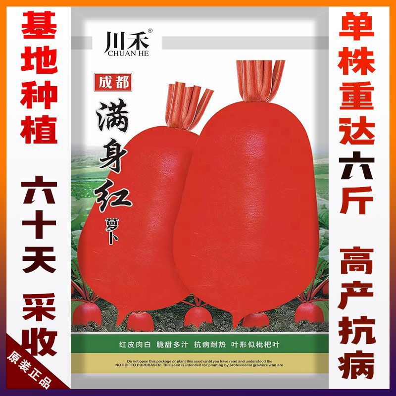 四季满身红高产特大红袍萝卜种大种子红皮白心四季蔬菜种子红萝卜