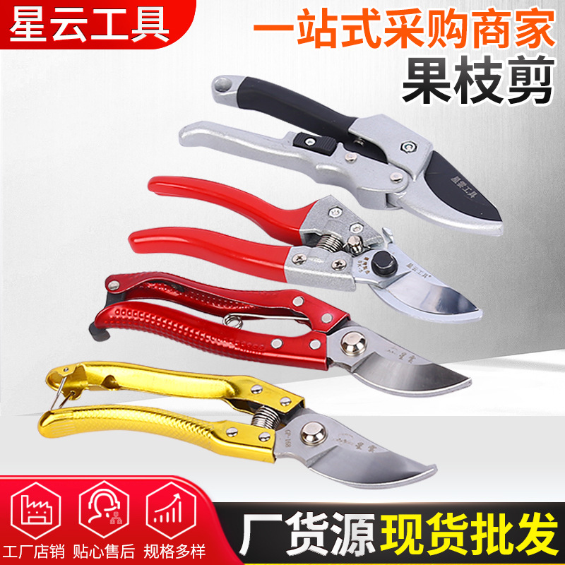 厂家供应园艺剪刀园林工具省力果汁剪树枝修枝剪刀摘果剪刀批发