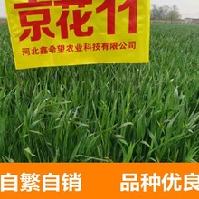 ����С���N��&mdash;����11  �Zʳ����N�ӬF؛���l