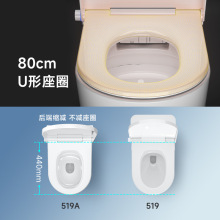 RKT4卫浴519A智能马桶 一体式家用全自动小户型无水压限制坐便器