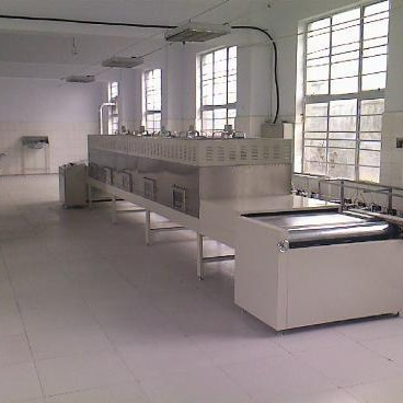 济南小型烘干微波连续式生产设备