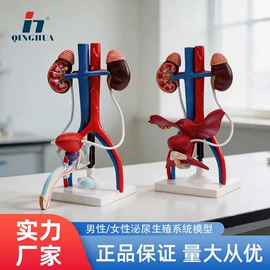 数理教学器材;教学演示用品;生物教学器材