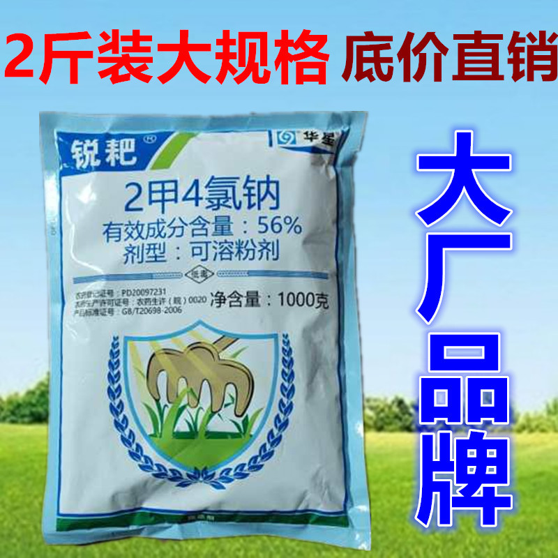 华星56%二甲四氯钠2甲4氯纳水稻小麦玉米田除草剂草坪阔叶草1000g