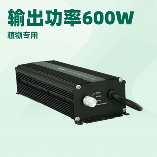 600W HPS plant hydroponic growth kit electronic ballast with dimming function