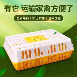 鸡笼鸡笼子塑料笼家用养殖家禽运输周转箱加厚防摔鸡鸭鹅兔笼子