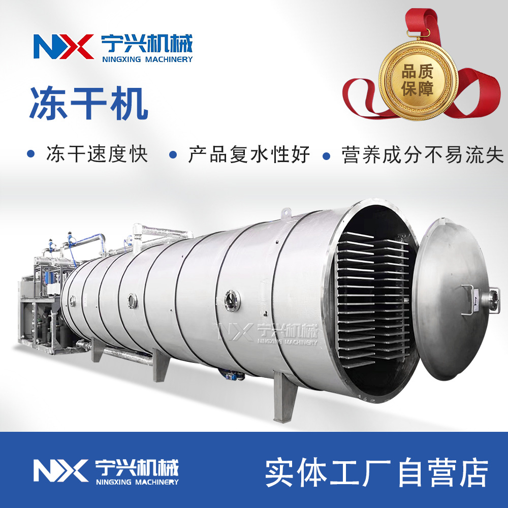 宁兴大型芒果片冻干机 芒果块真空冷冻干燥机 果蔬粉磨粉冻干设备