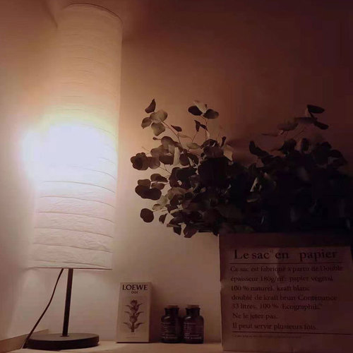 Nordic Creative Minimalist European Paper Floor Lamp for Homestay Hotel Decoration Living Room Bedroom Study Bedside Decorative Lamp