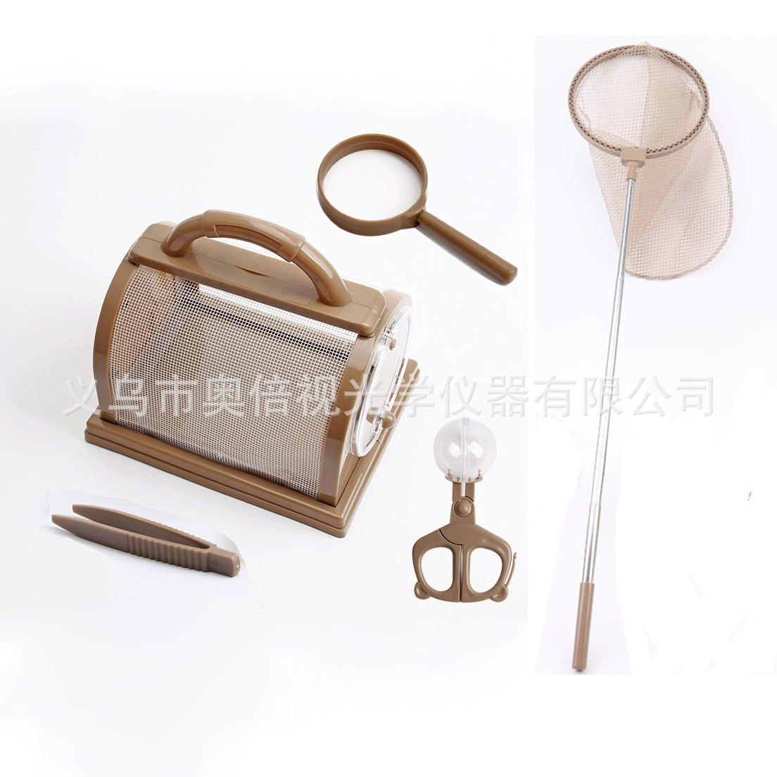 Детский открытый научно-образовательный эксперимент по наблюдению за насекомыми