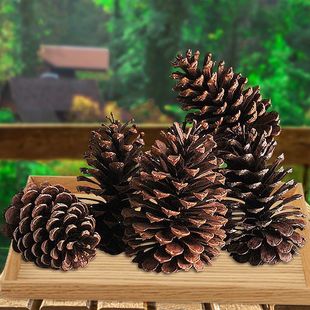 ������ ���� ������ �ɼ���ɻ����~���}�Q���b��ɹ��ɻ�DIY�b�