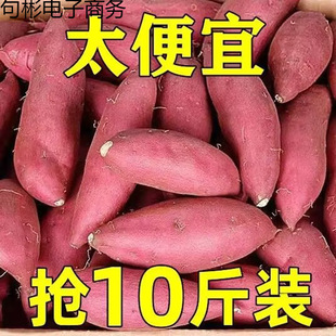 �����t�������r�F��10�ﮔ��ɽ������ɳ�����ϼt���عϷ���5����