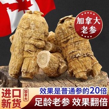 加拿大西洋参粒头正宗进口西洋参加拿大花旗参段支滋补品西洋参片