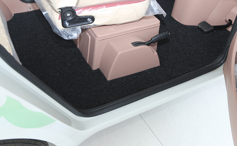 Shenghao Electric Three- and Four-Wheeler Foot Mats F3 Peiqi A9 Gl8 Q3F6 Z1 Special Enclosed Tricycle Foot Mats