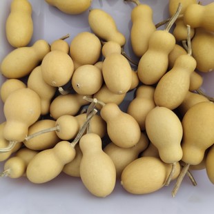 ?�S�����l���Jƿ���Π��������JС���J����������J�ְѼ�Ƥɫ��