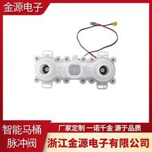 定制高性价比智能马桶脉冲阀 耐用实用电磁阀 卫浴马桶配件标配版