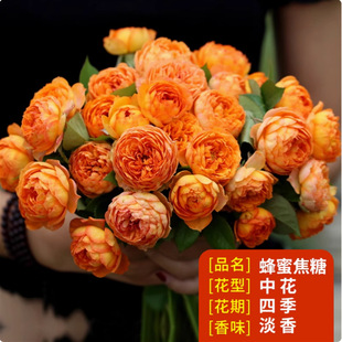 ���۽��Ǽtɫ�_������л��ļ��������⻨���^��ͥԺ�̨�Nޱ��